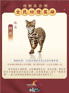 天龙八部私服准确上限